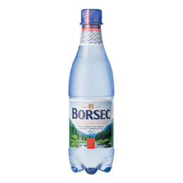 Apă minerală naturală carbogazoasă Borsec 0.33L
